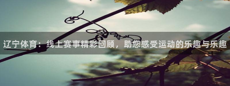 人人体育直播nba