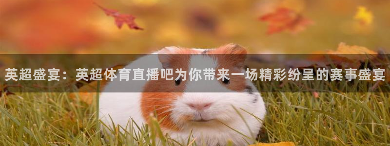 体育新闻