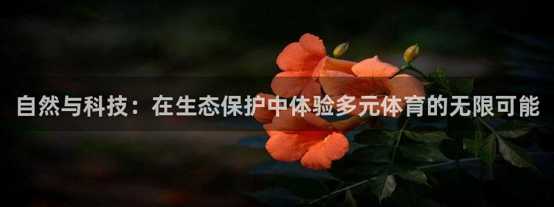足球人人体育直播