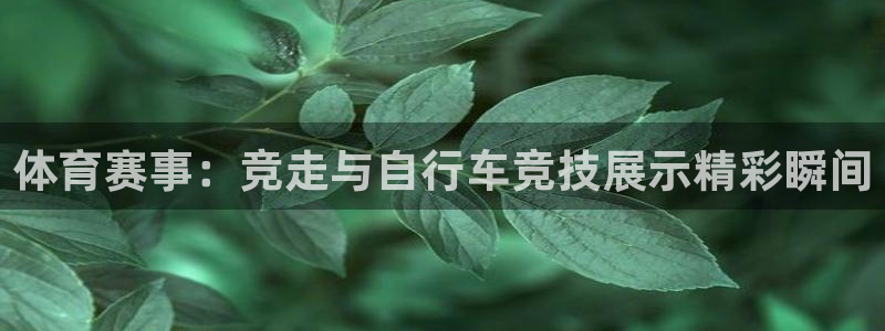 人人体育直播app下载