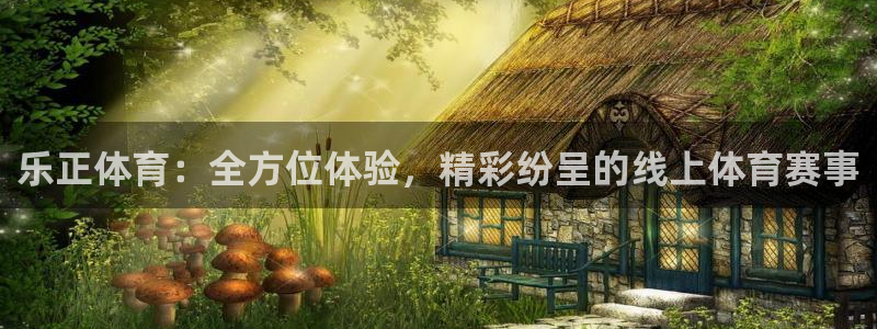 体育新闻