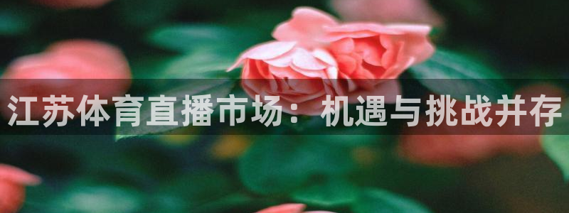 体育新闻